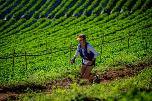 BIB: 
                            <button type="button" onclick="openModal(19160998)" class="btn btn-primary btn-sm float-right btn-popup" data-toggle="modal" data-target=".modal-high-quality">
                        <i class="fas fa-shopping-cart"></i> Add to Cart
                    </button>
                                            <button type="button" onclick="isThisMe(19160998, true)" class="btn btn-success btn-sm float-right btn-popup btn-isme hidden" data-toggle="tooltip" data-placement="bottom" title="นี่คือรูปของคุณใช่ไหม คลิกที่นี่เพื่อเอาเข้าอัลบั้ม">
                        <i class="fas fa-plus"></i> Add to album
                    </button>
                    <button type="button" onclick="isThisMe(19160998, false)" class="btn btn-warning btn-sm float-right btn-popup btn-isnotme hidden">
                        <i class="fas fa-ban"></i> Remove from album
                    </button>